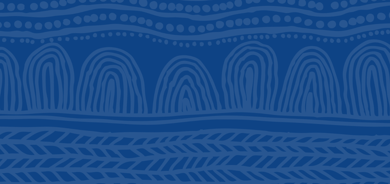 Prioritise Stolen Generations to close the gap: Election 2025 statement