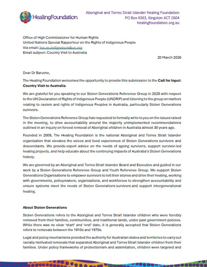 UN Rapporteur 2026 Visit Submission