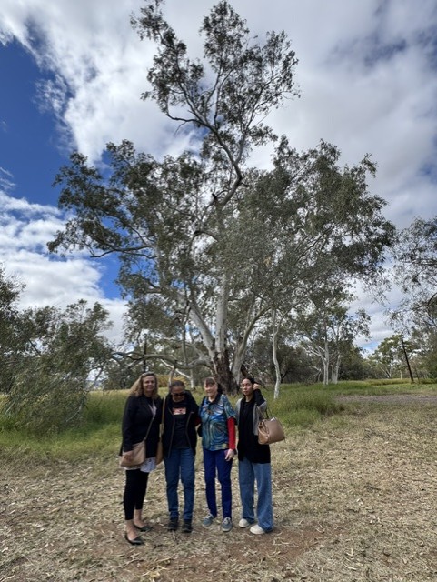 St Mary Tree