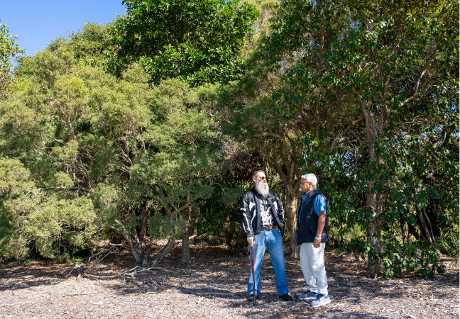 Untitled 648 X 450 Px 5