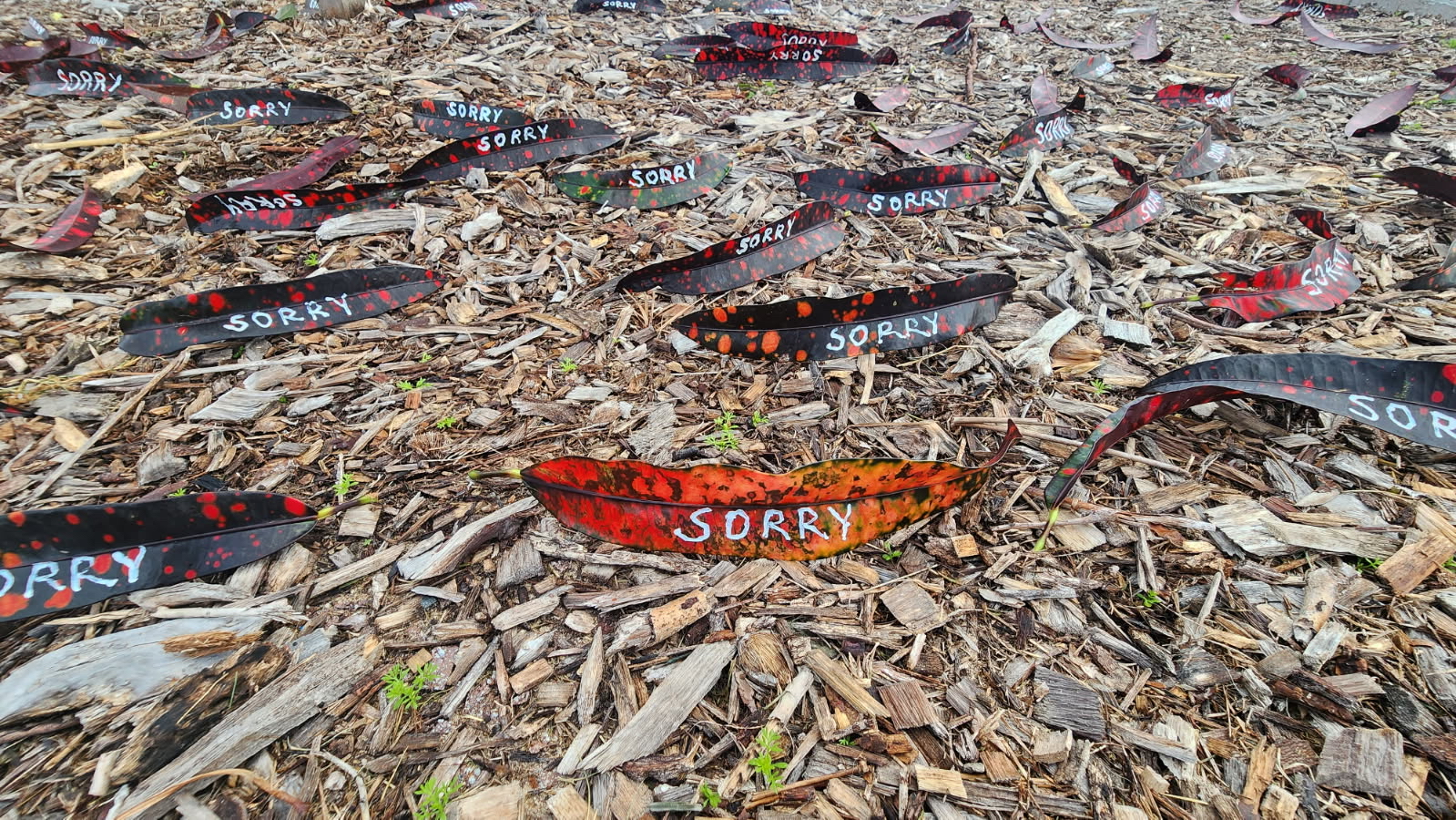 Sorry Leaves Painted